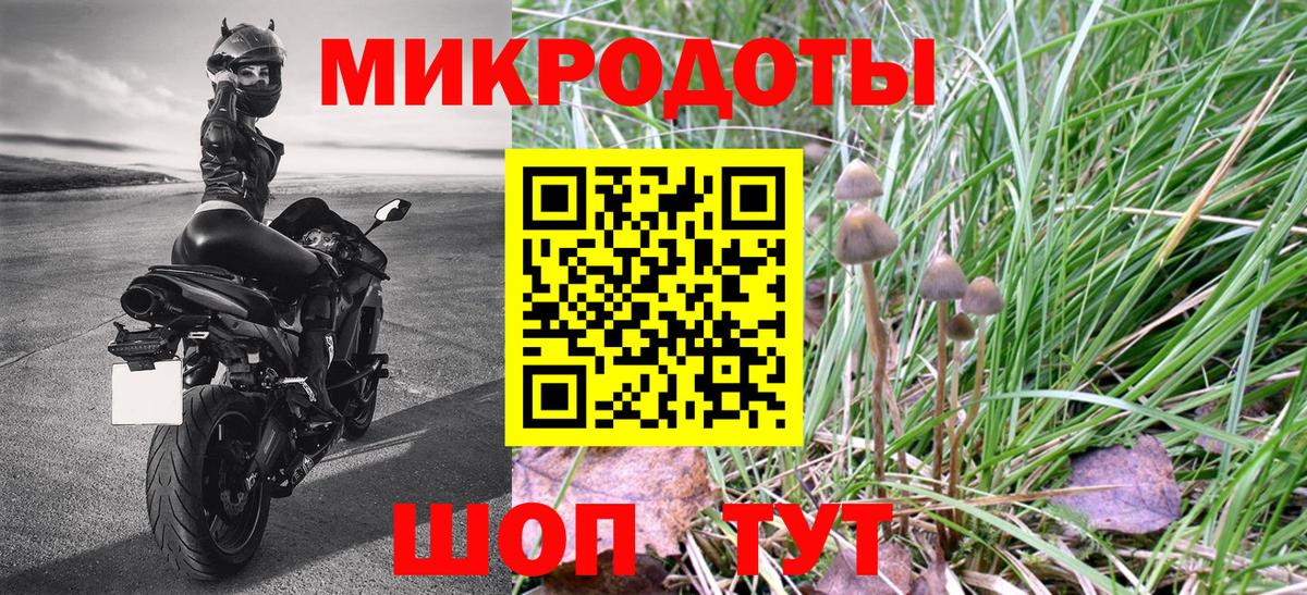 Тихвин  Галлюциногенные грибы мицелий  Вход с VPN 